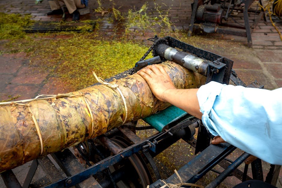 A close-up of a worker manually processing large bundles of tea leaves in an outdoor factory setting.