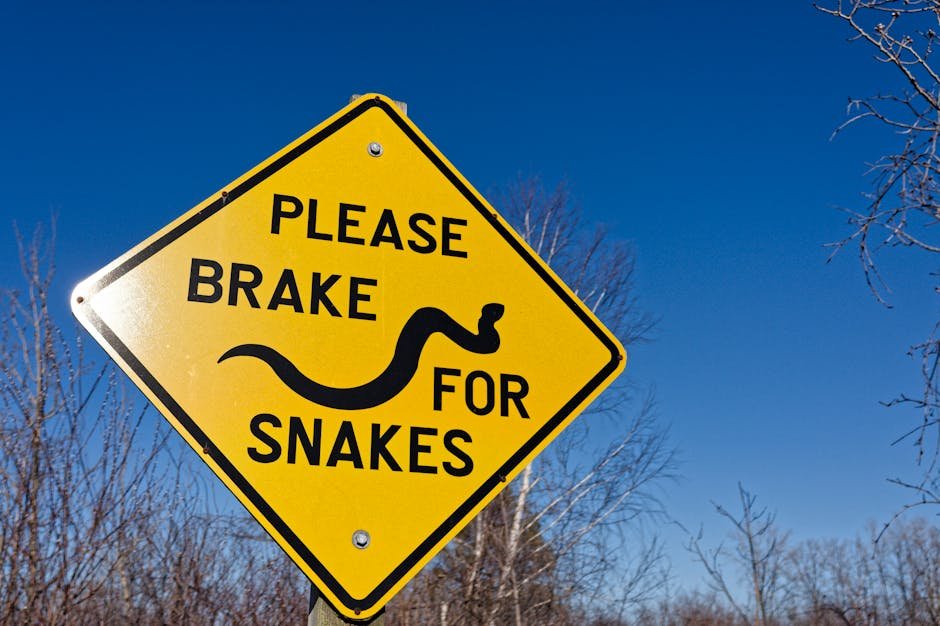 Yellow road sign in rural Ontario warns drivers to brake for snakes.
